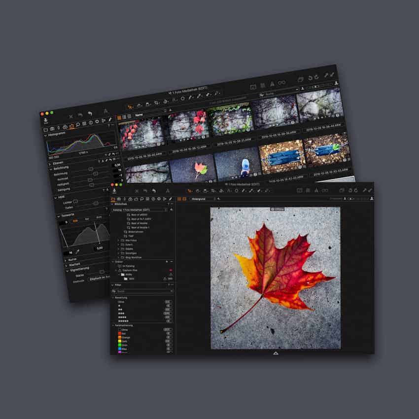 Capture One: die professionelle Fotobearbeitung und Bildverwaltung
