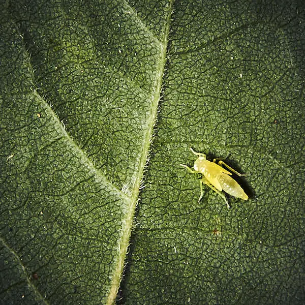 Wie du die Drittel-Regel verwenden kannst, um bessere Fotos zu machen