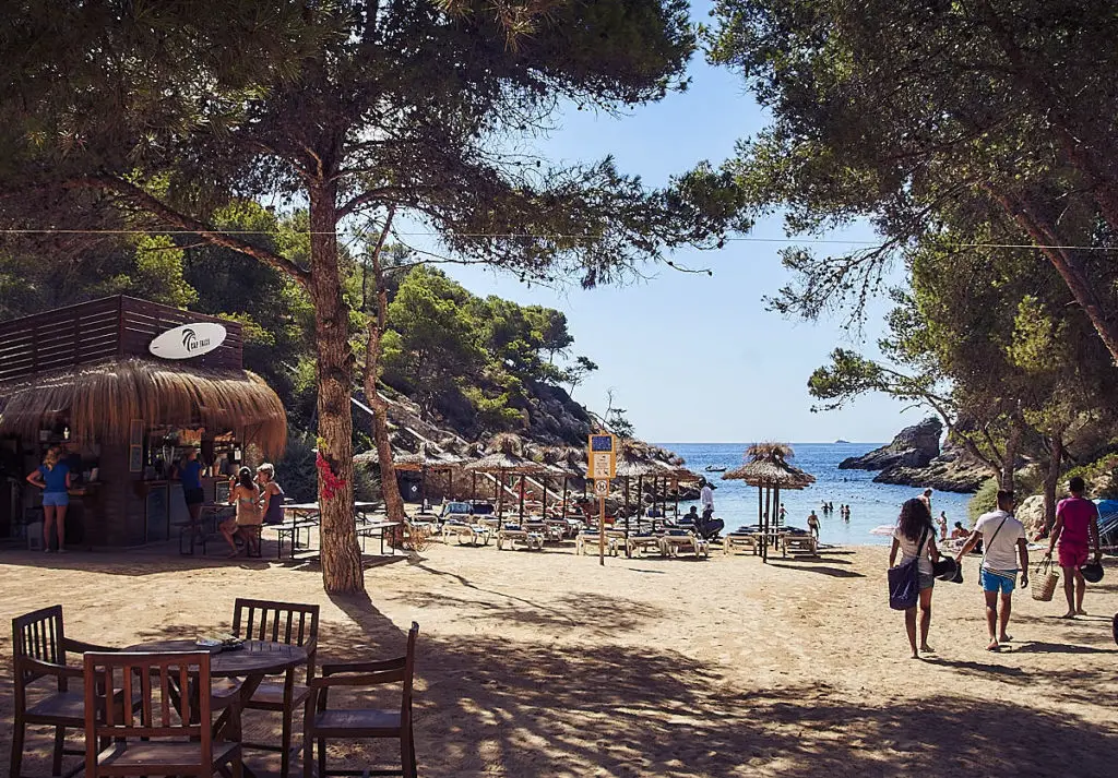 Mallorca: Cap Falcó Beach